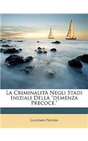 La Criminalita Negli Stadi Iniziali Della Demenza Precoce.