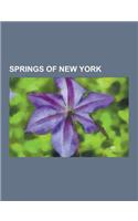 Springs of New York: Saratoga Springs, New York, Sharon Springs, New York, Skidmore College, Grand Union Hotel, West Side Historic District(English)