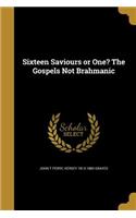 Sixteen Saviours or One? The Gospels Not Brahmanic