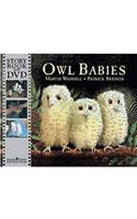 Owl Babies