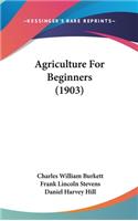Agriculture For Beginners (1903)