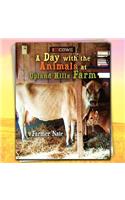 A Day with the Animals at Upland Hills Farm