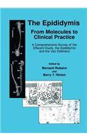 Epididymis: From Molecules to Clinical Practice: A Comprehensive Survey of the Efferent Ducts, the Epididymis and the Vas Deferens