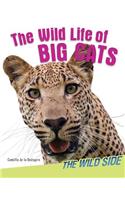 The Wild Life of Big Cats