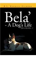 Bela' - A Dog's Life