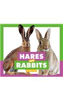 Hares and Rabbits