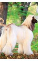 Afghan Hound May Notebook Afghan Hound Record, Log, Diary, Special Memories, To Do List, Academic Notepad, Scrapbook & More
