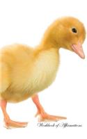 Cute Duck Workbook of Affirmations Cute Duck Workbook of Affirmations: Bullet Journal, Food Diary, Recipe Notebook, Planner, To Do List, Scrapbook, Academic Notepad