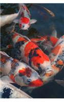 Colorful Carp Fish Journal: 150 Page Lined Notebook/Diary