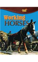 Working Horses