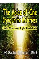 The Voice of One Crying In the Wilderness: God's Marvelous Light Healed Me(English)