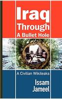 Iraq Through A Bullet Hole: A Civilian Wikileaks