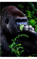 Gorilla Lovers Writing & Sketching Notebook Journal