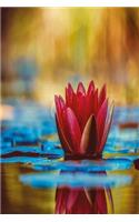White lotus notebook