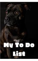 My To Do List