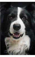 Border Collie Portrait Journal: Take Notes, Write Down Memories in this 150 Page Lined Journal