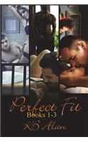 Perfect Fit Books 1-3