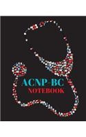 ACNP-BC Notebook