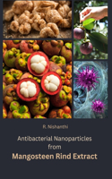 Antibacterial nanoparticles from mangosteen rind extract