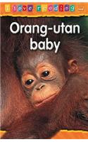 Orang-utan Baby: Orange Reading Level