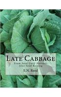Late Cabbage