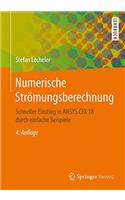 Numerische Strömungsberechnung