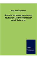 Über die Verbesserung unserer deutschen Landrindviehrassen durch Reinzucht