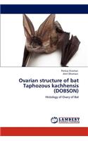 Ovarian structure of bat Taphozous kachhensis (DOBSON)