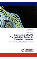 Expression of MYB Transcription Factor in Eleusine coracana