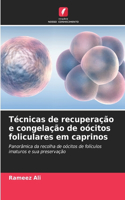 Técnicas de recuperação e congelação de oócitos foliculares em caprinos