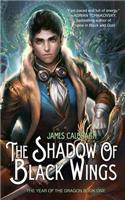 Shadow of Black Wings