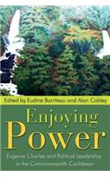 Enjoying Power