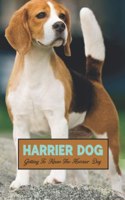 Harrier Dog