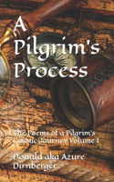 A Pilgrim's Process