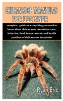 Chilean Rose Tarantulas for Beginner