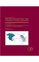 Oligomerization and Allosteric Modulation in G-Protein Coupled Receptors: (Progress in Molecular Biology and Translational Science)
