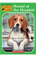 Hound at the Hospital