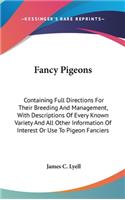 Fancy Pigeons