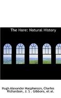 The Hare: Natural History