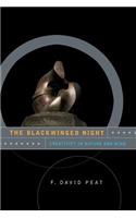 Blackwinged Night