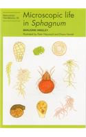 Microscopic Life in Sphagnum