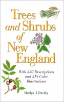 Trees and Shrubs of New England