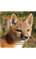 Tale of Jacob Swift