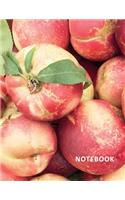 College Ruled Notebook: Growing apple trees from seed Practical Composition Book Daily Journal Notepad Diary for notes on planning a small fruit garden