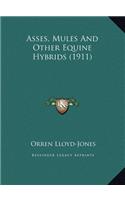 Asses, Mules And Other Equine Hybrids (1911)