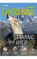 Ladders Science 4: Taming the Wild (on-level)