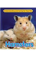 Hamsters