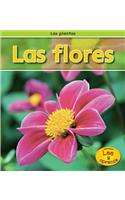 Las Flores