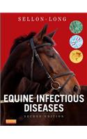 Equine Infectious Diseases