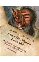 Proverbios Afganos Ilustrados (Spanish Edition)